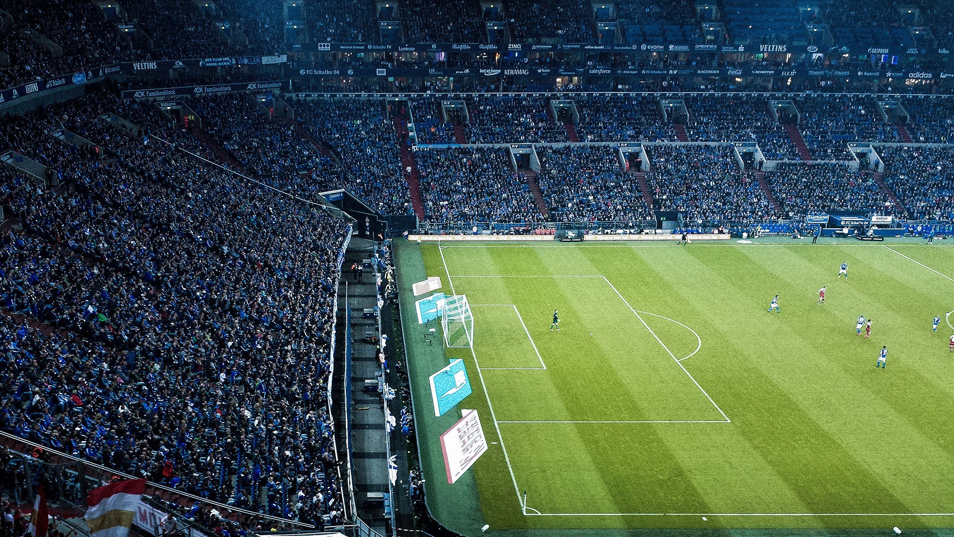 足坛新星崭露头角，成为球队关键球员，足坛新星阵容